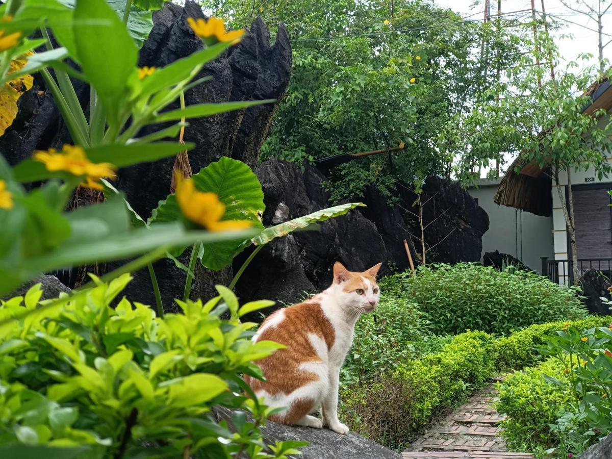 Wings Ha Giang Loop Bungalow Eksteriør bilde